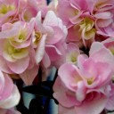 プランターのいろどり３－紫陽花３