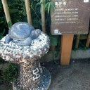 思い付き観光の旅 第1回「高知県足摺岬」その③