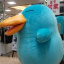 いろいろ