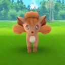 【ポケモンGO】念願のロコンちゃま！