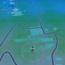 1km離れたポケストップ間を往復しながら、ひたすらポッポとコラッタとビードルとキャタピーを捕まえるゲーム