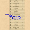 HS夏季日本選手権概要