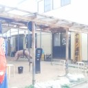 takebono名古屋場所２