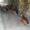 リゾート3日目