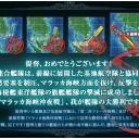E-4乙クリア