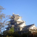 百閒川のいろどり４９ー荒手(越流堤)1