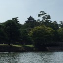 出雲大社見学