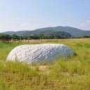 百閒川のいろどり52ー荒手「越流堤」4