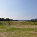 百閒川のいろどり54ー荒手｢越流堤」6(完)