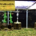 高価ななペット
