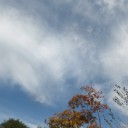 秋らしい空です
