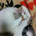 11月2日の日記