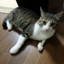 #Wendy21 アーちゃんの診察♪