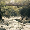 祖谷のかずら橋