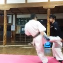11月も