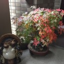 ホームページの更新