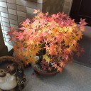ホームページの更新