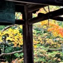 古寺素描14-紅しぐれ8－井山宝福禅寺８