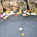 古寺素描１７-紅しぐれ11-井山宝福禅寺11