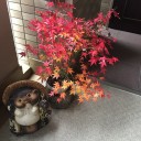 玄関の植木鉢を入れ替え