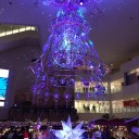 今年最後の日曜日