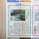 「アマゴ」と思っていたら「タカハヤ」