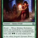 これだから緑は‼な気持ちになりかもしれない生物。紛争怖い《Hidden Herbalists》