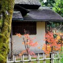 晩秋と初冬のはざま　1－後楽園　1
