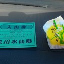 淡路島 第一目標地点「立川水仙郷」