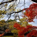晩秋と初冬のはざま　4－後楽園　4　(終)