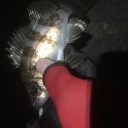 や