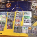 第六回カブトプスメガバトルに出て、優勝した話【デッキレシピ】ガマゲロゲジュナイパー