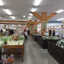 コケリウム用に苔を購入
