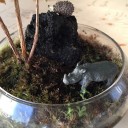 コケリウムとフィギアの動物