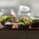 コケリウムと猫の板金工芸品
