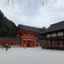 歩きました、２万歩！