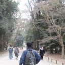 歩きました、２万歩！