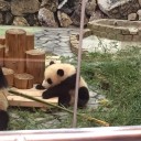 この季節といえば