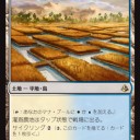 タップインサイクリング友好色デュアラン