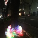 坂