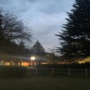 隼