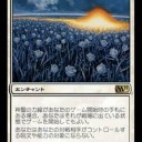分割カードのルール変更とか色々