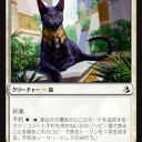 可愛いは正義《聖なる猫》