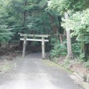 環境の変化は苦手。