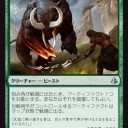 アモンケット何枚か
