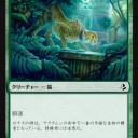 新次元はエジプトと見せかけた野生の王国