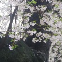 4月9日の日記