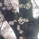 4月9日の日記