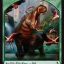 よくよく考えたらアモンケットのトークン・カード多過ぎてコンプつらたんｗｗｗｗｗｗ