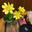 庭の花たち